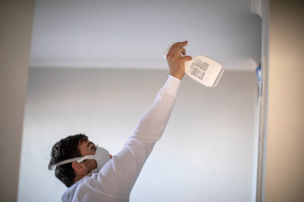 Best Mold Removal Company Near Me  in Fort Rucker, AL