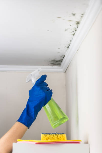 Best Mold Testing  in Fort Rucker, AL